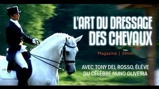 Equitation : L'art de dresser les chevaux