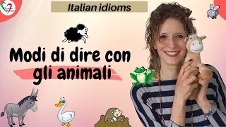 Learn Italian idioms: Modi di dire con gli animali- Idioms with animals