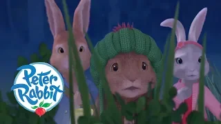 Peter Rabbit - The Dash in the Dark | Cartoons for Kids