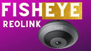 Reolink FishEye Camera Review