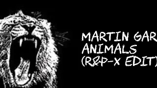 Martin Garrix - Animals (R&P-X Edit)