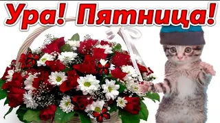 С ПЯТНИЦЕЙ!ОТЛИЧНЫХ ВАМ ВЫХОДНЫХ!