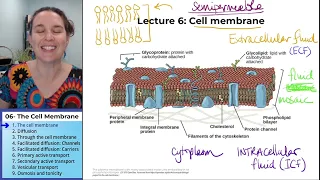 Cell membrane 1- Introduction