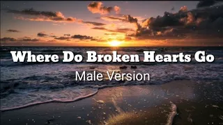 Where Do Broken Hearts Go - Male Version ( Vedio  lyrics )