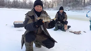 Первый лед 2023-2024.! Наловили целую кучу Окуней.!!! Всем бы такой рыбалки!!