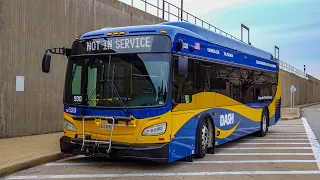 DASH Alexandria NEW 2019 New Flyer Xcelsior XD35 #520