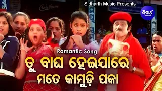 Tu Bagha Hei Jaa Re Mate Kamudi Paka - Masti Film Song ତୁ ବାଘ ହେଇଯାରେ | Sanghamitra & Bibhu Kishore
