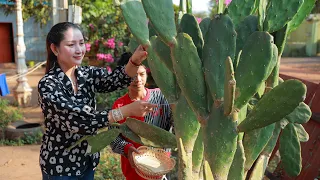 Yummy and Fresh Pedro Cactus, Curry Pedro Cactus cooking - Eat Pedro Cactus with Chili-Salt