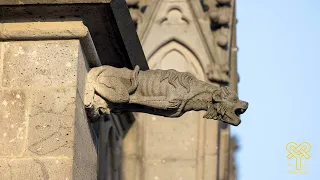 Cathedral of Cologne