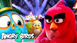 THE ANGRY BIRDS Movie 3 (2024) : Trailer, Release Date & FIRST LOOK