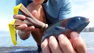 Making a Natural Fork Slingshot / Hand-line | Shooting - Fishing