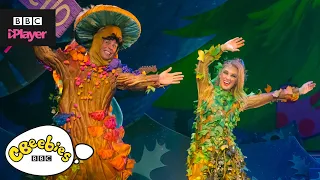 The Magic Of Christmas | CBeebies Hansel & Gretel