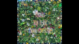 Berries - Man Of Oil (Animal Collective Cover)