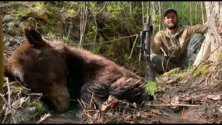 SPRING BEAR HUNTING '22 TRAILER | NEW EPISODES START JULY 1ST | S6E | Limitless Outdoors