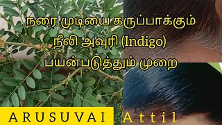 Neeli Avuri Natural hair dye/நீலி அவுரி/Indigo plant organic Hair dye tamil/How to use Neeli Avuri