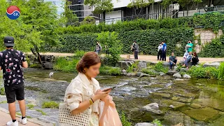 Unbelievable CHEONGGYECHEON Scenery, Can't you believe it's an Artificial Stream? 4K Seoul Travel.