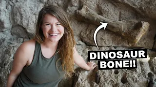FINDING DINOSAUR BONES IN UTAH (Dinosaur National Monument)