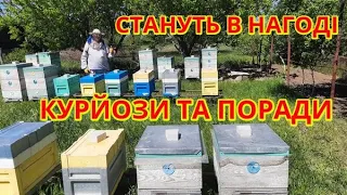 КУРЙОЗИ та ПОРАДИ які можуть стати Вам в нагоді 🍯👍