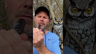 Learn How To Use An Owl Call - Quick & Simple!