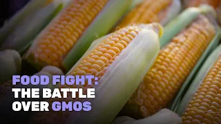 Food Fight: The Battle Over GMOs