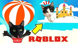 Jugando a ROBLOX ADOPT ME con gatos Luna y Estrella CAP 3 Castillo en el cielo / Videos de gatitos