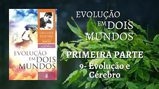 CAP. 9 EVOLUÇÃO E CÉREBRO - LIVRO: EVOLUÇÃO EM DOIS MUNDOS DE CHICO XAVIER E WALDO VIEIRA