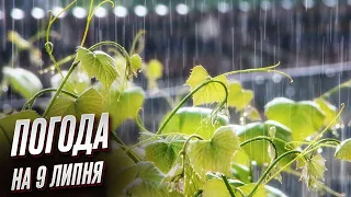 🌡️ Погода на 9 липня: погода буде різною - від дощів до спеки