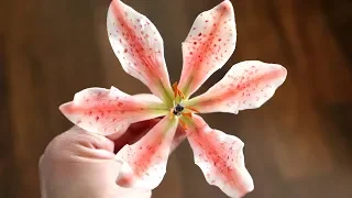 Gumpaste Lily Tutorial