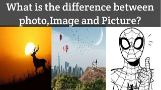 What is the difference between Photo,Image and Picture