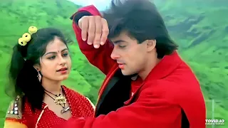 Tu Jab Jab Mujhko Pukare ❤️ ((Love)) Kurbaan | Udit Narayan | Anuradha Paudwal | Salman Khan