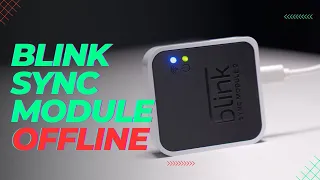 Blink Sync Module Offline: How to Fix