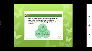 Production of Vesicular Arbuscular Mycorrhiza (VAM)