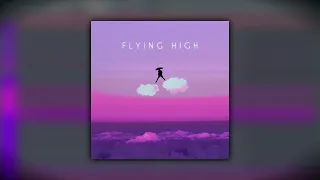 Animadrop - Flying High