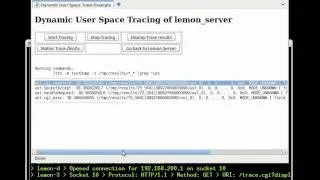 UST (User Space Trace) dynamic tracing and embeded webserer