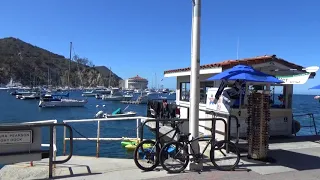 Santa Catalina Island. California. Part 34. Остров Санта-Каталина. Калифорния. Часть 34.