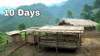 10 Days Solo Survival In the rainforest - animal care & gardening Corn