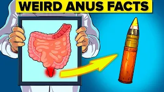 Weird Facts About the Anus (Compilation)