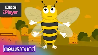 Why are BEES so IMPORTANT? | World Bee Day | Newsround