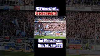 Austausch von "Nettigkeiten" beim #derby #msvduisburg - #rotweissessen im #wedaustadion