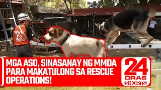 Mga aso, sinasanay ng MMDA para makatulong sa rescue operations! | 24 Oras Weekend Shorts