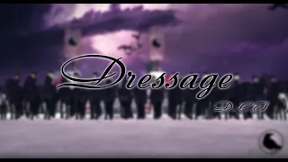 Dressage Star Stable | Выездка под красивую музыку