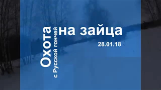 Охота на зайца 28 01 18