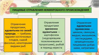 Пищевые отравления и их профилактика