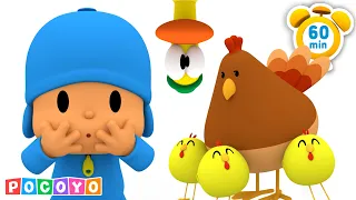 🐓 A las gallinas les encanta Pocoyó (60 minutos) | Pocoyo 🇪🇸 Español | dibujos animados