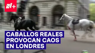 Caballos de la realeza provocan caos en el centro de Londres - N+ #Shorts