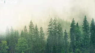 5 HORAS DE MUSICA RELAJANTE DE PIANO Y LLUVIA | MUSICA PARA CALMAR EL ESTRÉS