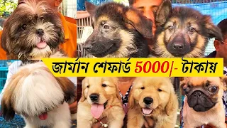 Galiff Street Pet Market Kolkata | dog market in kolkata | Dog Price | Dog Puppy Price Update | Dogs