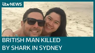 Tributes for British diving instructor killed by shark in Sydney | ITV News