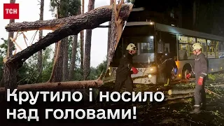 😱🌪️ Дахи, вивіски і ДЕРЕВА літали над людьми! Жахливий буревій накрив частину України!