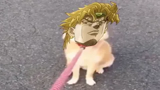 Dio is Angry Pet - JoJo's Bizarre meme